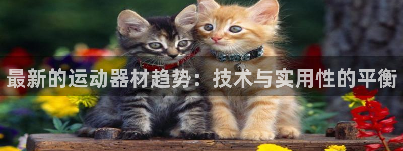 凯捷体育开户：最新的运动器材趋势：技术与实用性的平衡