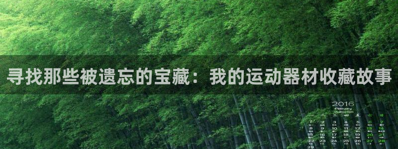 德国凯捷体育集团：寻找那些被遗忘的宝藏：我的运动器材