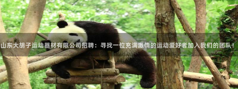 凯捷体育招商：山东大胡子运动器材有限公司招聘：寻找一