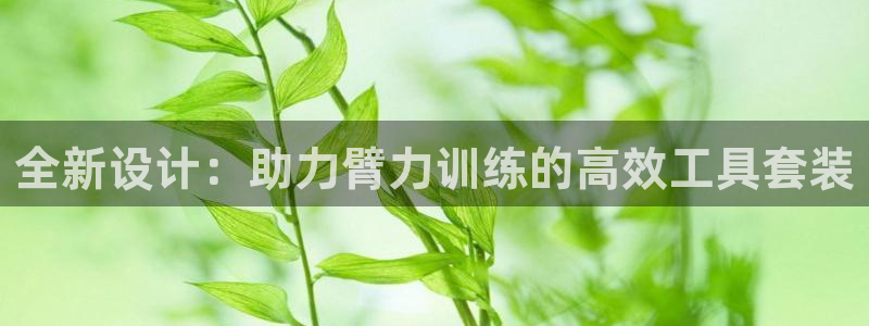 凯捷体育注册：全新设计：助力臂力训练的高效工具套装