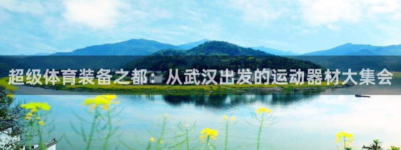 凯捷体育集团E.ON