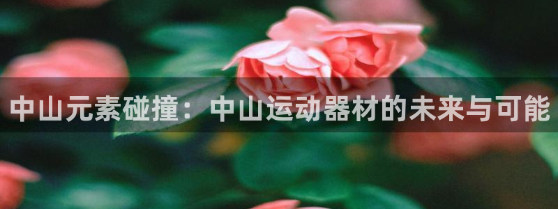 凯捷体育招商电话地址：中山元素碰撞：中山运动器材的未
