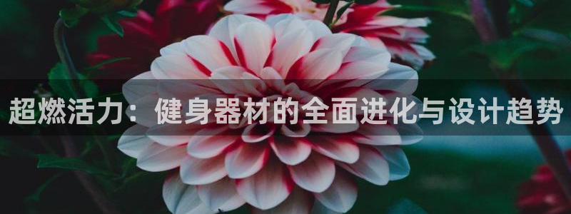 凯捷体育联系电话：超燃活力：健身器材的全面进化与设计趋势