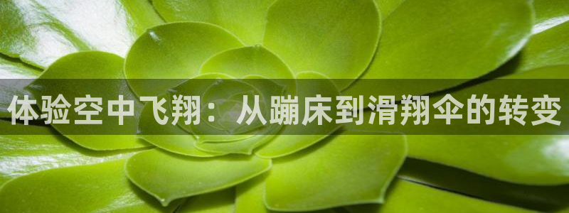 凯捷体育招商电话号码是多少啊：体验空中飞翔：从蹦床到滑翔伞的
