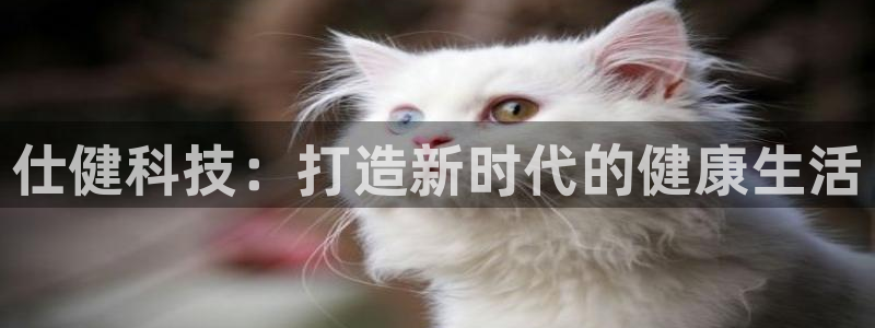 凯捷体育集团简介：仕健科技：打造新时代的健康生活