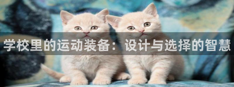 凯捷体育平台注册流程图：学校里的运动装备：设计与选择