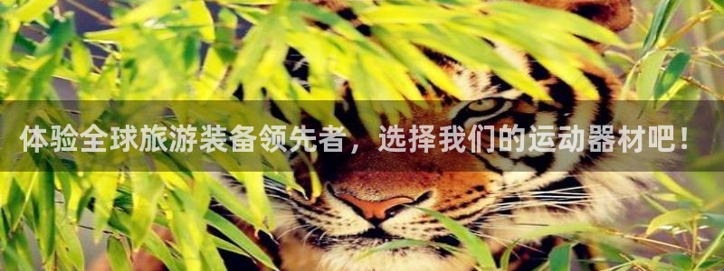 凯捷体育注册：体验全球旅游装备领先者，选择我们的运动