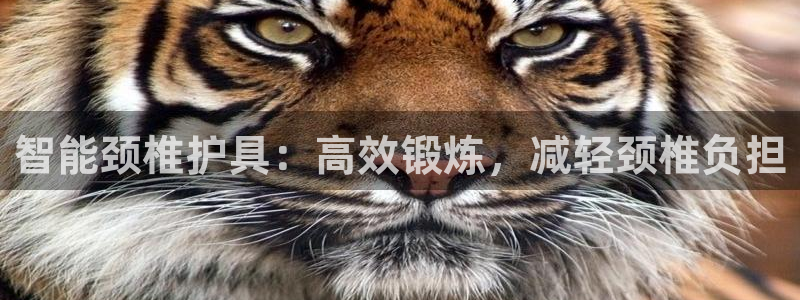 凯捷体育平台是正规平台吗安全吗