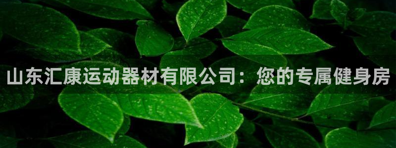 海南凯捷体育