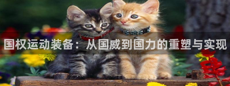 凯捷体育新能源：国权运动装备：从国威到国力的重塑与实