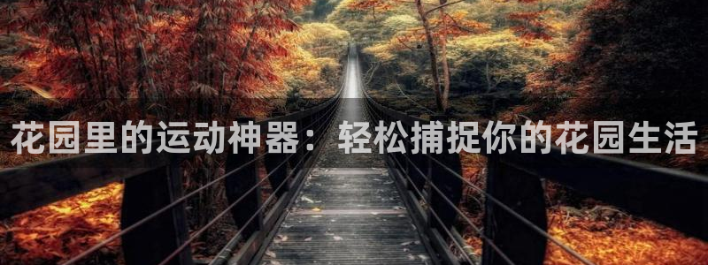 凯捷体育集团