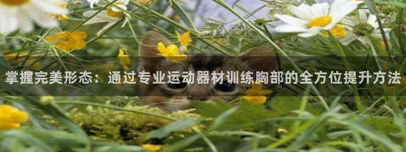 凯捷体育平台假的吗是真的吗