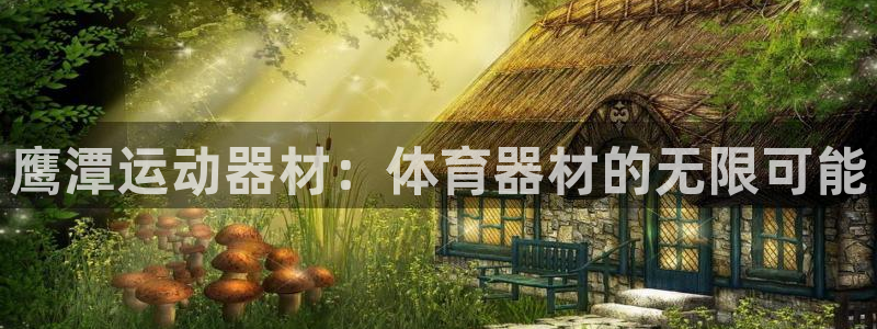 凯捷体育平台注册：鹰潭运动器材：体育器材的无限可能