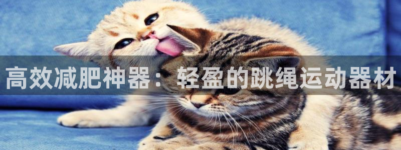 凯捷体育平台假的吗是真的吗吗：高效减肥神器：轻盈的跳