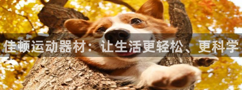 凯捷体育招商电话地址查询：佳顿运动器材：让生活更轻松