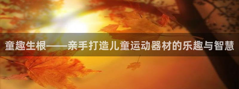 凯捷体育招商：童趣生根——亲手打造儿童运动器材的乐趣与智慧