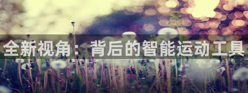 凯捷体育娱乐首页网站大全