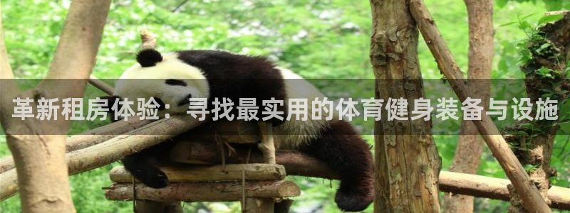 凯捷体育招商电话号码是多少号