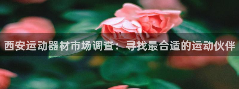 注册凯捷体育：西安运动器材市场调查：寻找最合适的运动伙伴