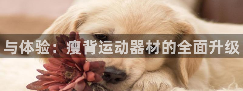凯捷体育集团官网首页
