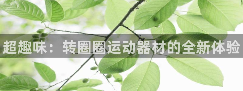 凯捷体育集团简介