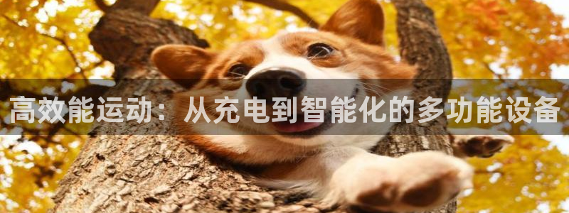 凯捷体育招商电话号码是多少号