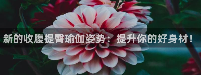 凯捷体育：新的收腹提臀瑜伽姿势：提升你的好身材！