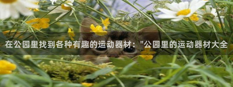 凯捷体育神州：在公园里找到各种有趣的运动器材：\