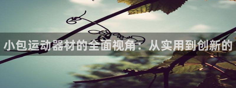 凯捷体育平台注册要钱吗安全吗：小包运动器材的全面视角：从实用