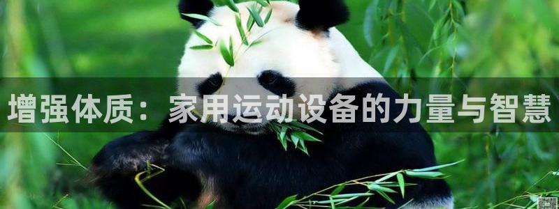 凯捷体育平台假的吗是真的吗：增强体质：家用运动设备的力量与智