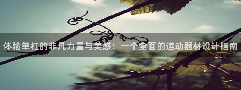 凯捷体育招商电话号码：体验单杠的非凡力量与美感：一个全面的运