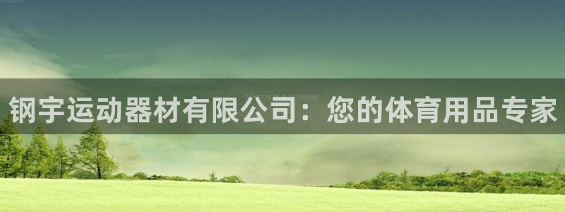 凯捷体育平台APP：钢宇运动器材有限公司：您的体育用品专家