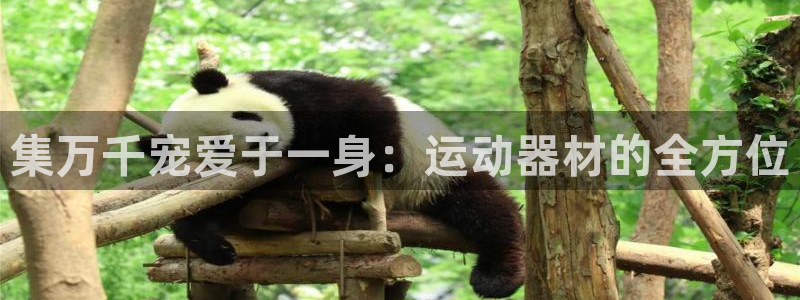 凯捷体育神州