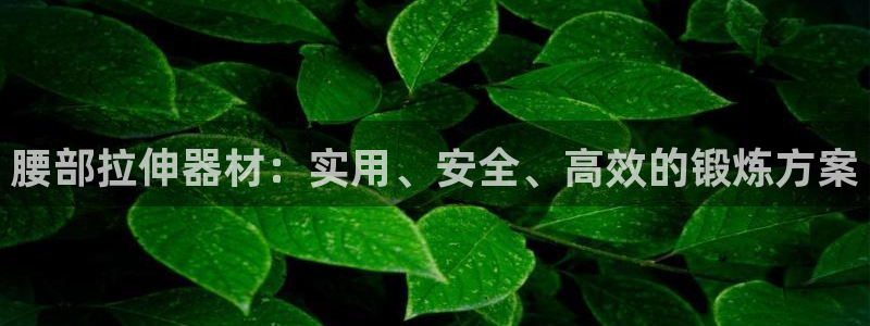 凯捷体育娱乐40996：腰部拉伸器材：实用、安全、高
