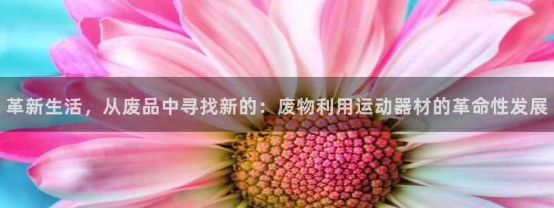 凯捷体育平台假的吗是真的吗：革新生活，从废品中寻找新的：废物