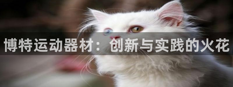 凯捷体育平台注册：博特运动器材：创新与实践的火花