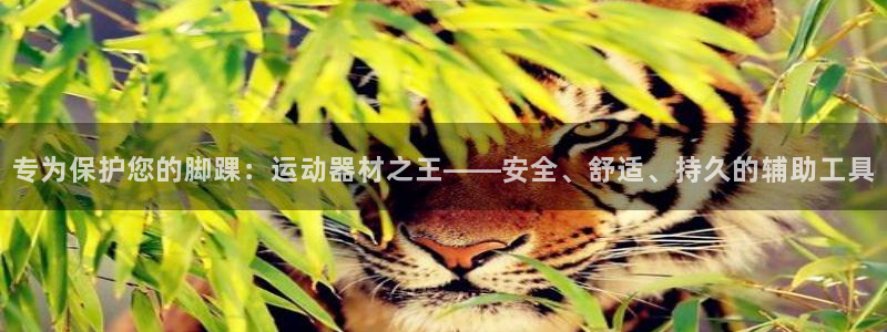 凯捷体育招商电话号码是多少：专为保护您的脚踝：运动器材之王—