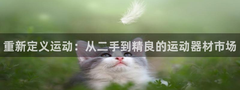 凯捷体育软件