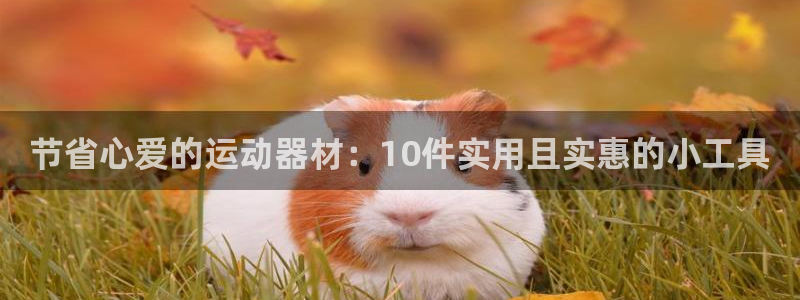 凯捷体育集团logo