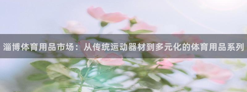 凯捷体育注册：淄博体育用品市场：从传统运动器材到多元