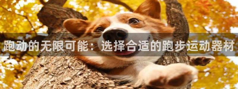 海南凯捷体育：跑动的无限可能：选择合适的跑步运动器材