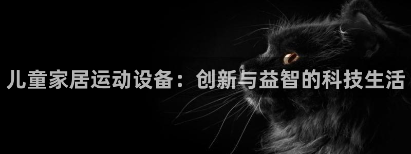 凯捷体育代理：儿童家居运动设备：创新与益智的科技生活