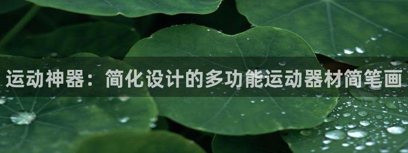 凯捷体育：运动神器：简化设计的多功能运动器材简笔画