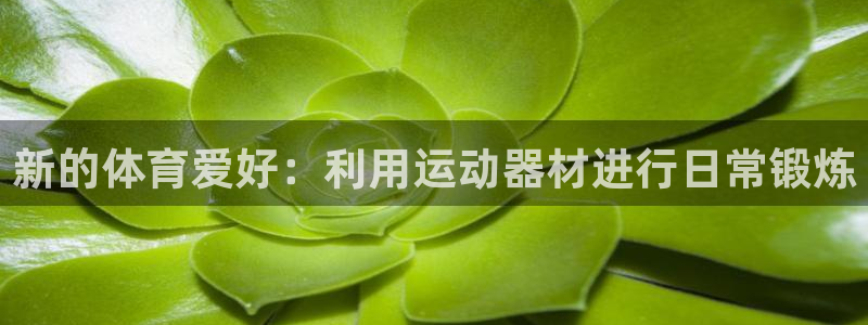德国凯捷体育集团：新的体育爱好：利用运动器材进行日常