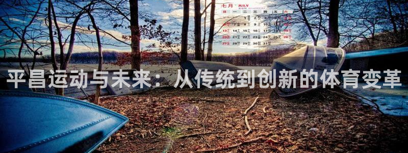 凯捷体育平台APP：平昌运动与未来：从传统到创新的体