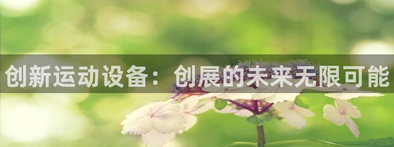 凯捷体育平台注册：创新运动设备：创展的未来无限可能