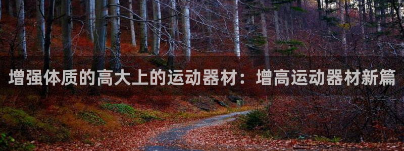 凯捷体育平台：增强体质的高大上的运动器材：增高运动器