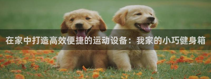 凯捷体育招商电话是多少号码：在家中打造高效便捷的运动设备：我