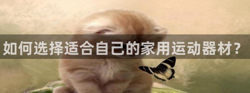 凯捷体育五金厂：如何选择适合自己的家用运动器材？