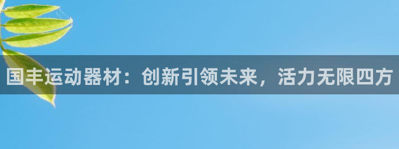德国凯捷体育集团:国丰运动器材:创新引领未来,活力无限四方